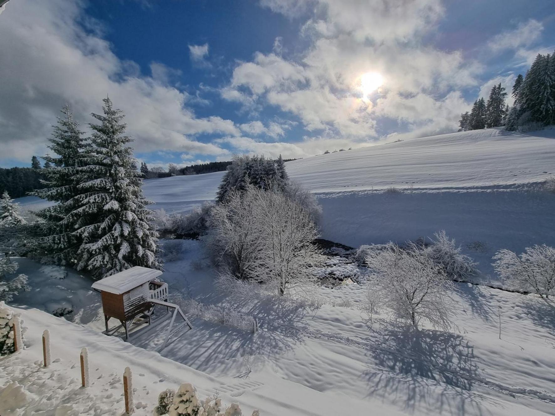 Ferienwohnung Am Bach Unterkirnach Экстерьер фото